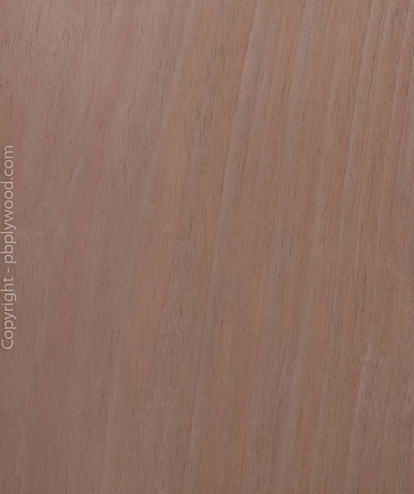Brazilian Mahogany Veneered Light Weight MDF Peter Benson Plywood Ltd
